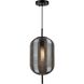 Vita LED 8.6 inch Black Pendant Ceiling Light