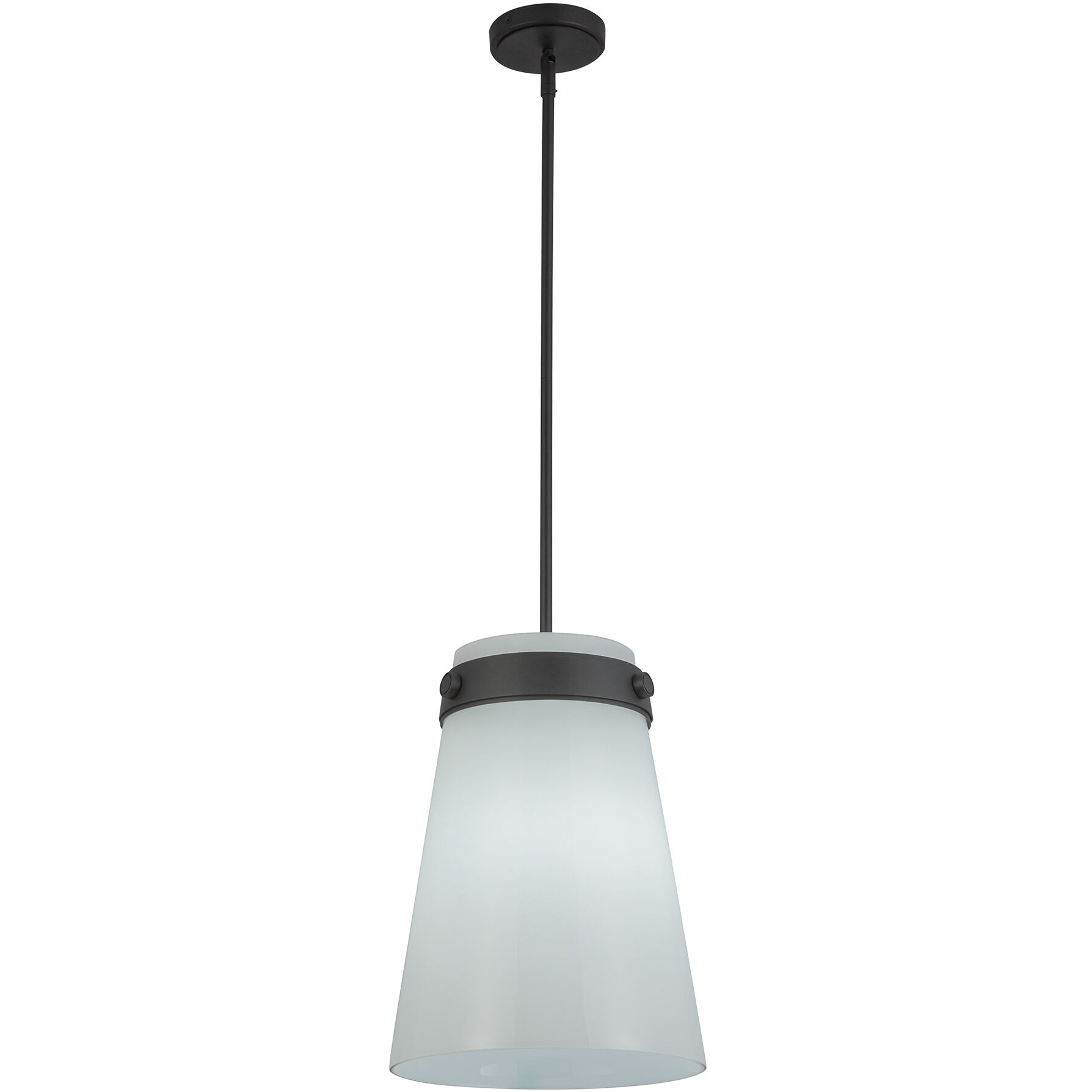 Dahlia 1 Light 12 inch Black Pendant Ceiling Light