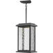 Sussex Drive LED 7 inch Black Outdoor Pendant