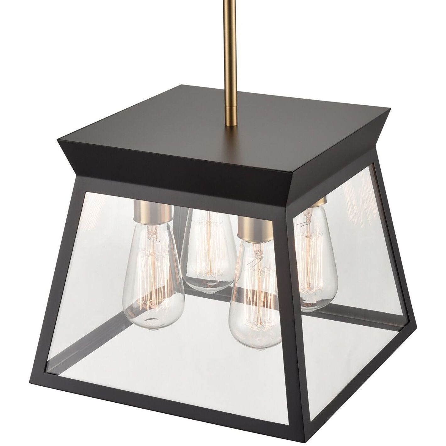 Lucian LED 12 inch Black and Brushed Brass Chandelier Ceiling Light