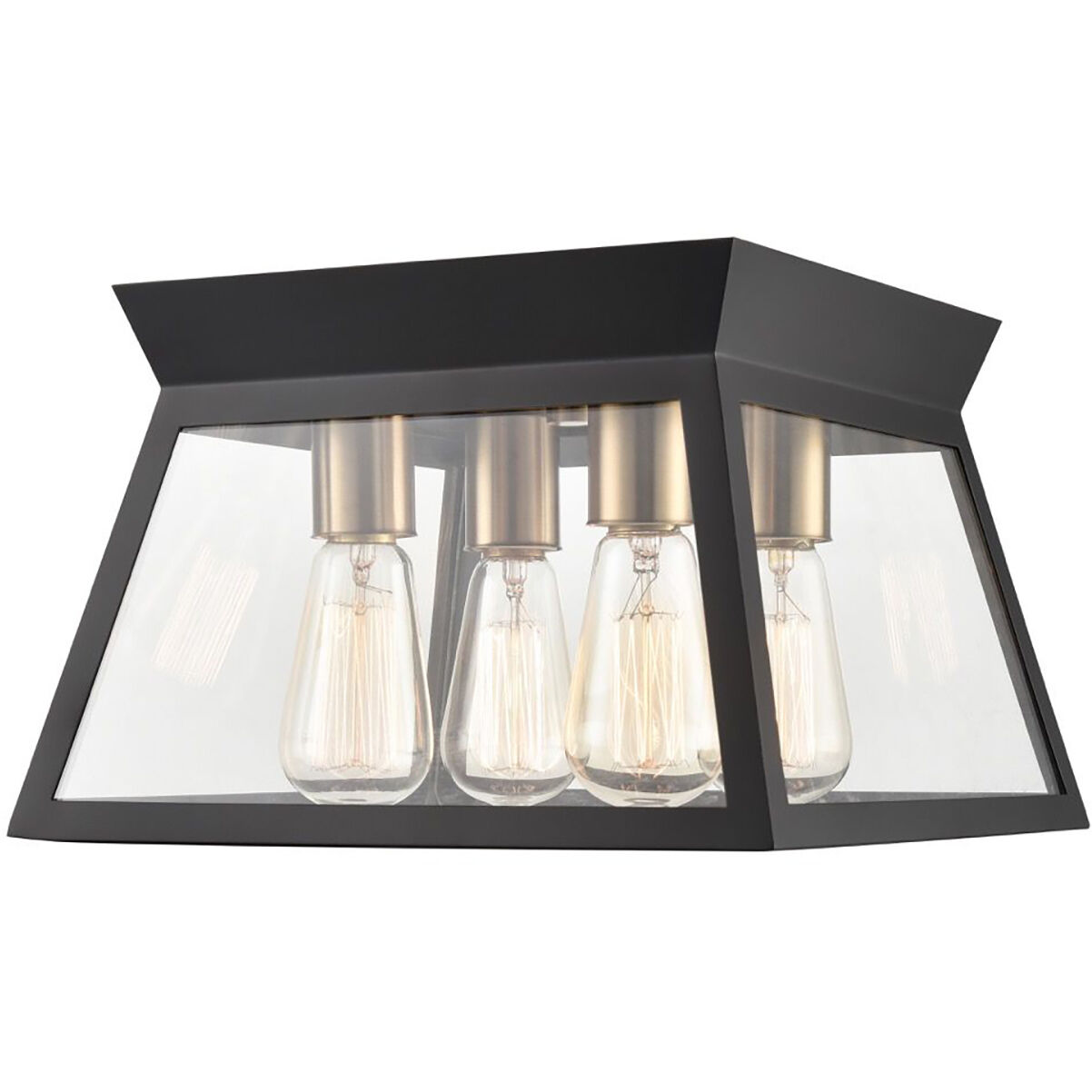 Lucian LED 12 inch Black and Brushed Brass Flush Mount Ceiling Light