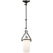 Brydon LED 6.5 inch Black and Brushed Nickel Sconce/Pendant Ceiling Light in Black/Brushed Nickel