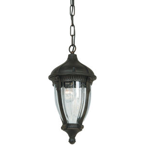 Anapolis 1 Light 9 inch Oil Rubbed Bronze Outdoor Ceiling Light