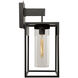 Weybridge LED 26.9 inch Black and Clear Outdoor Wall Light