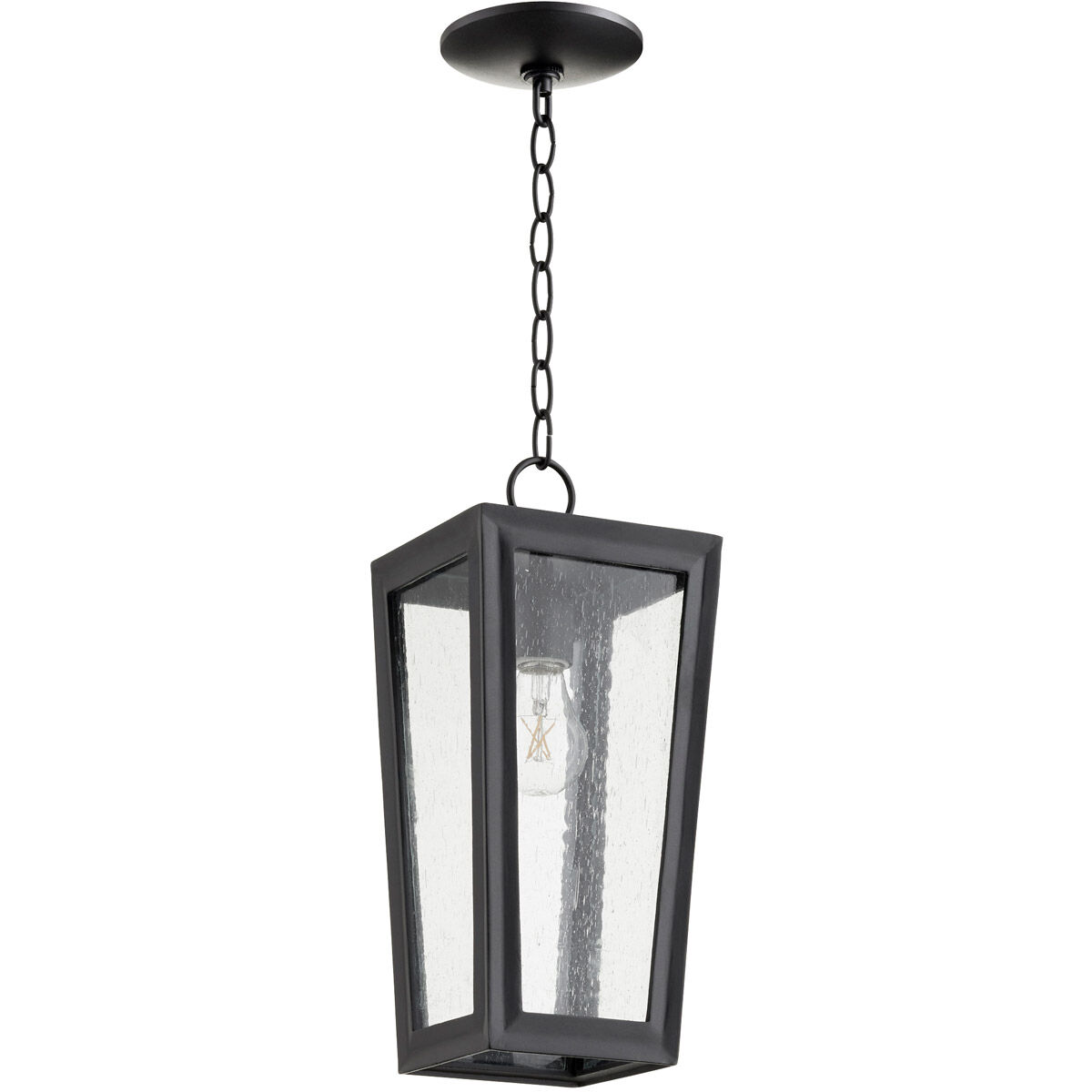 Bravo 1 Light 6.50 inch Outdoor Pendant/Chandelier
