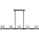 Salinas Island Light Ceiling Light