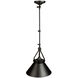 Brydon LED 13.5 inch Black Sconce/Pendant Ceiling Light