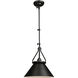 Brydon LED 13.5 inch Black Sconce/Pendant Ceiling Light