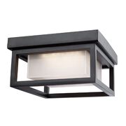 Outdoor Ceiling Lights