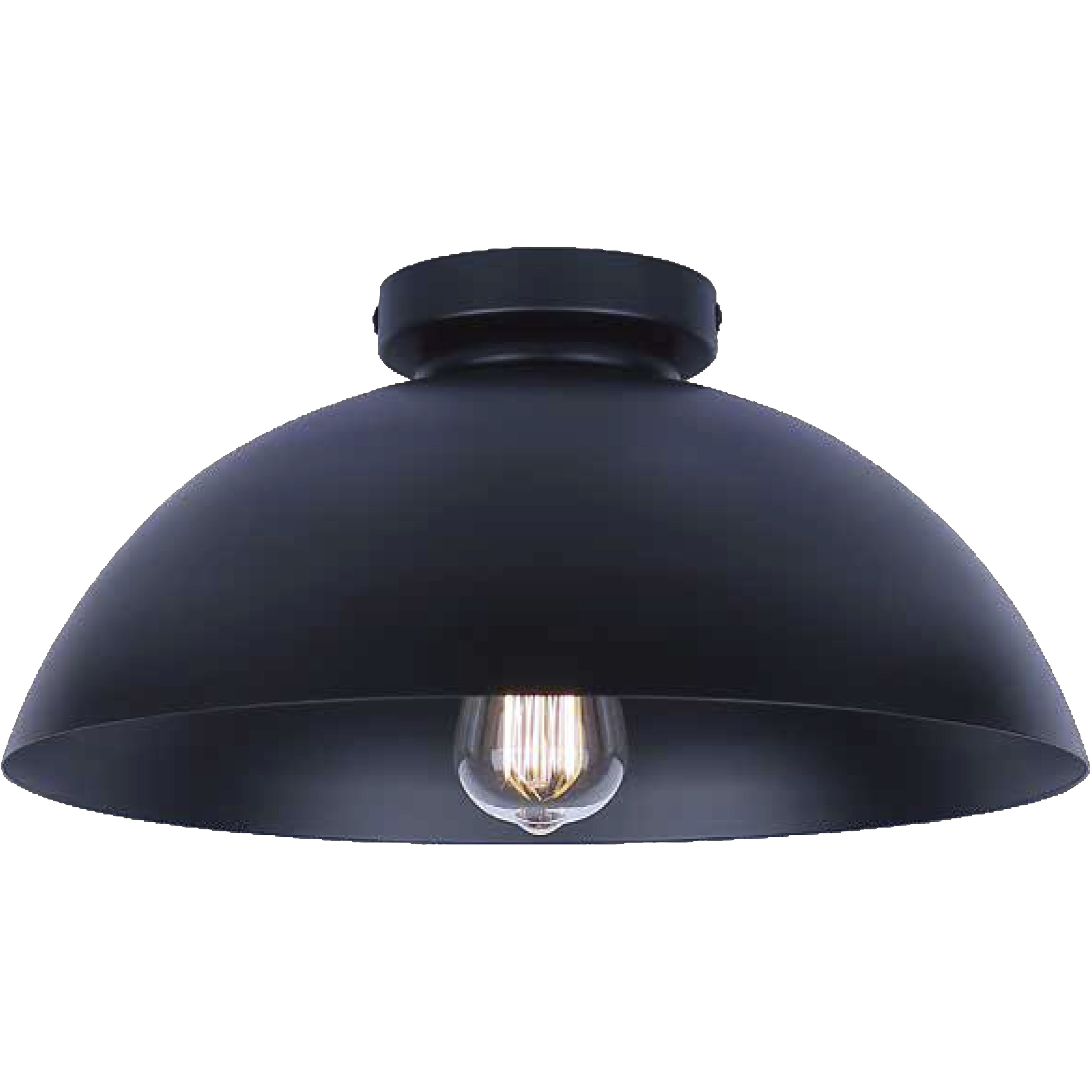 Eddie 15.5 inch Black Semi-Flush Mount Ceiling Light