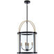 Bonita LED 17 inch Black and Brushed Brass Pendant Ceiling Light