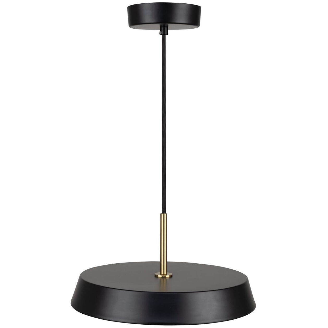Lexi LED 12 inch Black Pendant Ceiling Light