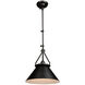 Brydon LED 13.5 inch Black Sconce/Pendant Ceiling Light