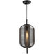 Vita LED 8.6 inch Black Pendant Ceiling Light