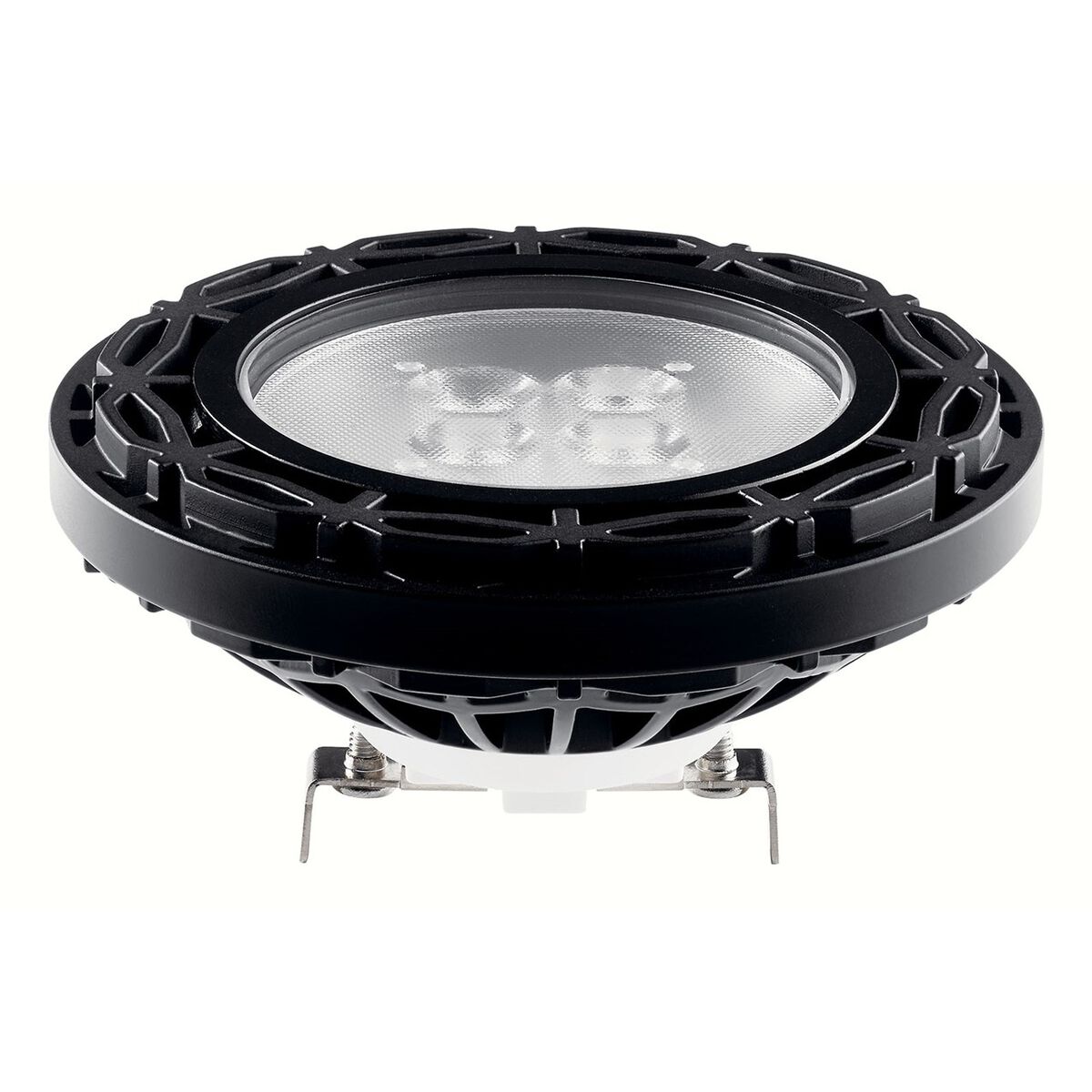 Landscape LED 12 10.00 watt Black Landscape 12V LED Lamps