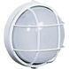 Marine LED 10 inch Black Outdoor Wall Light