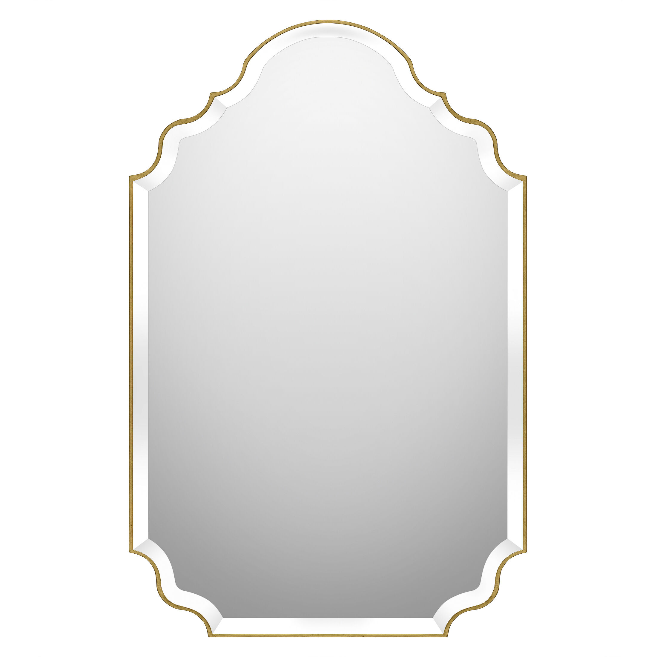 Camille 37 X 24 inch Mirror