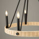 Perris LED 24 inch Black Chandelier Ceiling Light
