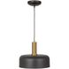 Orsa 1 Light 11.5 inch Black and Brushed Brass Down Pendant Ceiling Light