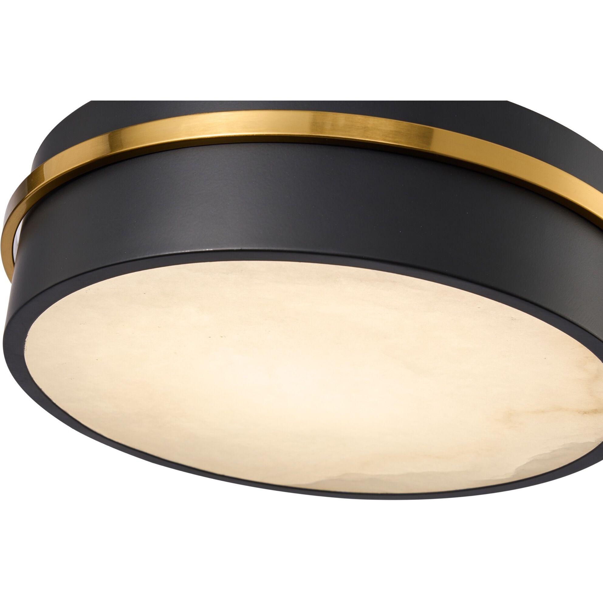Dax LED 12 inch Black and Brass Flush Mount Ceiling Light