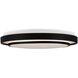 Aziza LED 19 inch Black Flush Mount Ceiling Light