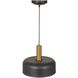 Orsa 1 Light 11.5 inch Black and Brushed Brass Down Pendant Ceiling Light