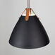 Tote 71.5 inch Black and Brass Floor Lamp Portable Light