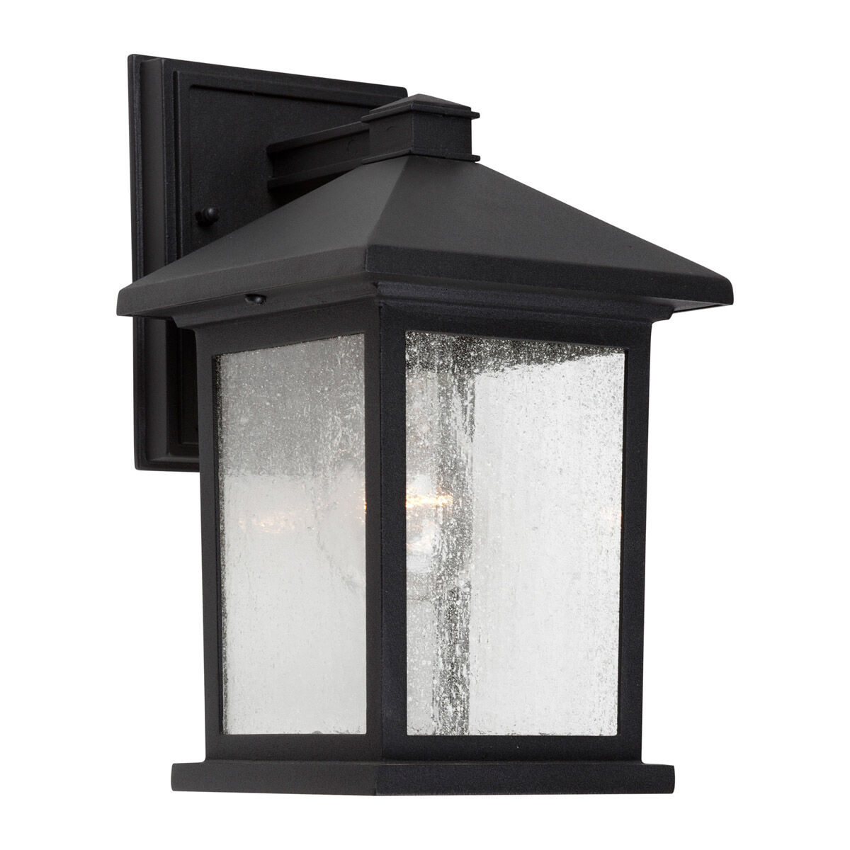 Signature 1 Light 11 inch Black Outdoor Wall Light