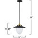 Dahlia 1 Light 15 inch Black and Brass Pendant Ceiling Light