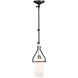 Brydon LED 6.5 inch Black and Brushed Nickel Sconce/Pendant Ceiling Light in Black/Brushed Nickel