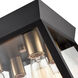 Lucian LED 12 inch Black and Brushed Brass Flush Mount Ceiling Light