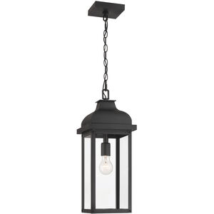 Madrid 1 Light 8.00 inch Outdoor Pendant/Chandelier