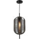 Vita LED 8.6 inch Black Pendant Ceiling Light