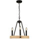 Perris LED 16 inch Black Chandelier Ceiling Light