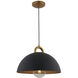 Pantheon LED 19.5 inch Rust Brass Pendant Ceiling Light in Black