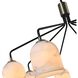 Crema 8 Light 34.25 inch Black and Brushed Brass Chandelier Ceiling Light