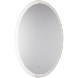Reflections 29.5 X 23.75 inch Frosted Edge Wall Mirror