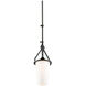 Brydon LED 6.5 inch Black Sconce/Pendant Ceiling Light