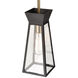 Lucian LED 5 inch Black and Brushed Brass Pendant Ceiling Light