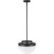 Dahlia 1 Light 12 inch Black Pendant Ceiling Light