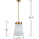Dahlia 1 Light 12 inch Brushed Brass Pendant Ceiling Light