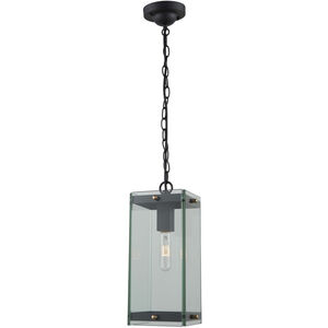 Bradgate LED 7.75 inch Matte Black and Harvest Brass Outdoor Pendant