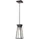 Lucian LED 5 inch Black and Brushed Brass Pendant Ceiling Light