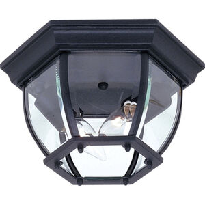 Classico 2 Light 10.75 inch Outdoor Ceiling Light