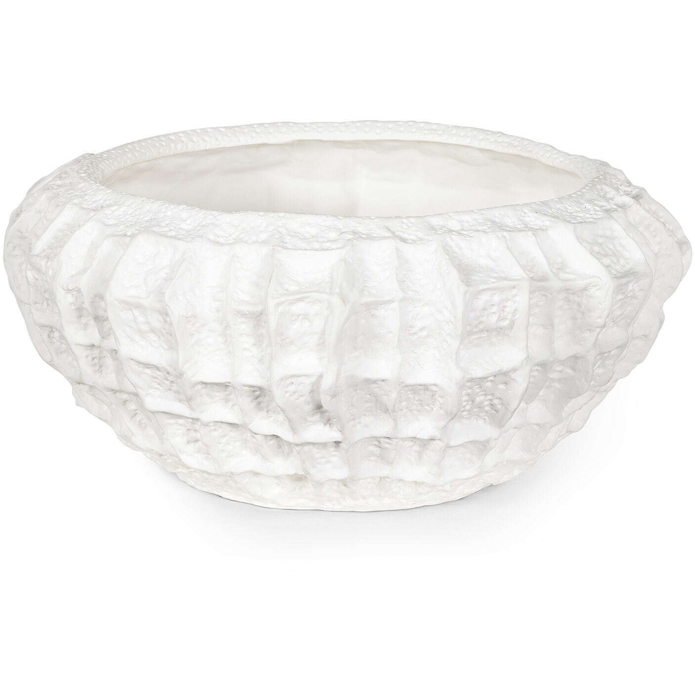 Caspian 16.5 X 8 inch Bowl