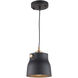 Euro Industrial LED 6.25 inch Matte Black and Harvest Brass Pendant Ceiling Light